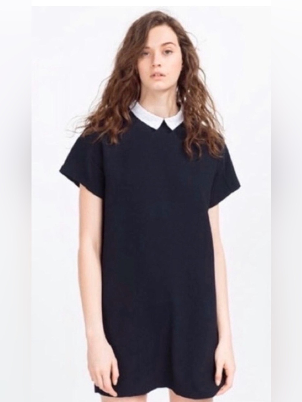 Zara Trafaluc Black White Peter Pan Collar Shift Mini Dress M